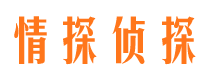 郫县市调查公司